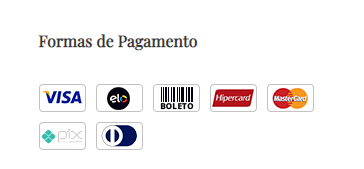 Formas de pagamento apresentadas em ícones na página de checkout do e-commerce