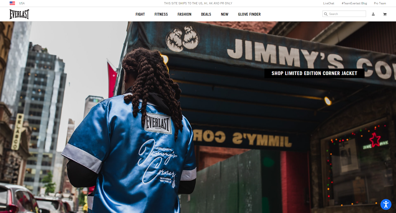 screenshot of Everlast website