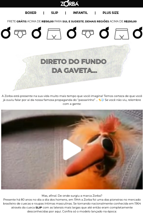 Newsletter com a história da marca Zorba